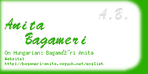 anita bagameri business card